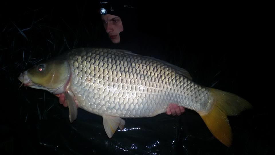 Lacul Moby Dick - 11755120885867601487337907889414309908393n.jpg